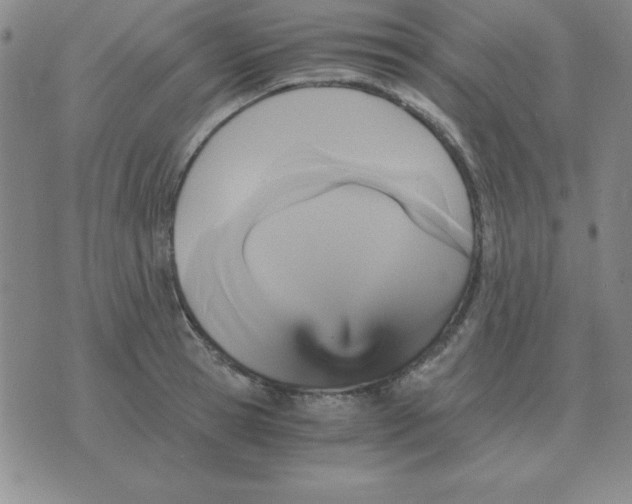 X0000075860945200610061934