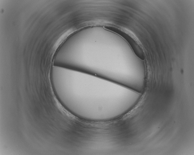 X0000075860946200610061934