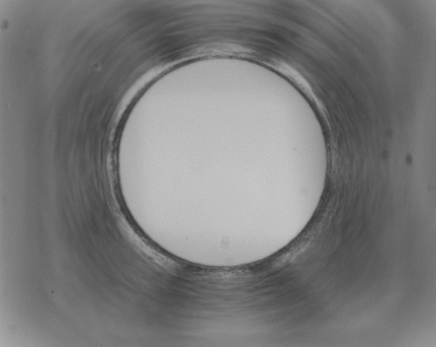 X0000075860947200610061934