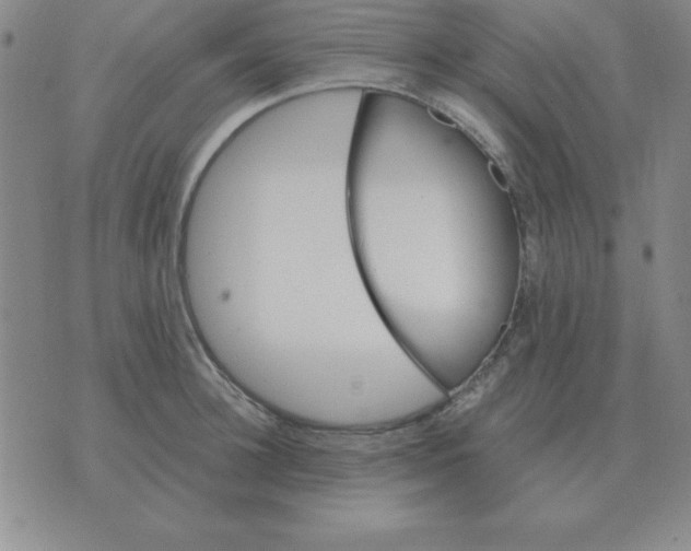 X0000075860948200610061934