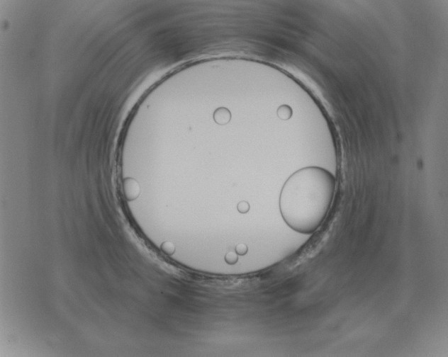 X0000075860949200610061934