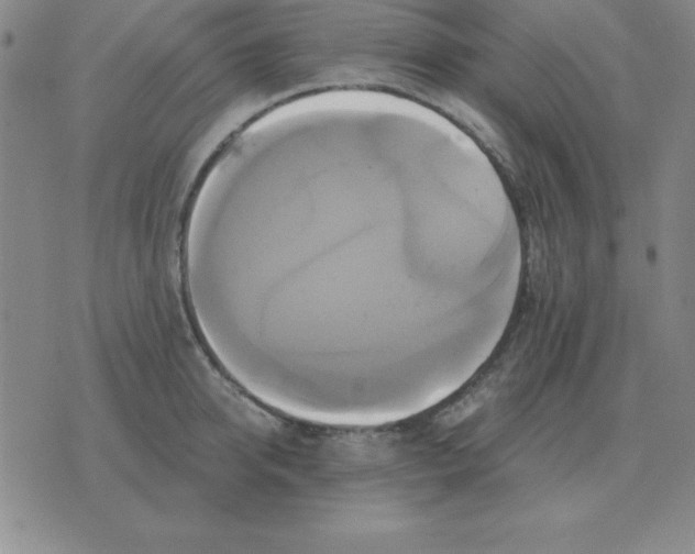 X0000075860950200610061934