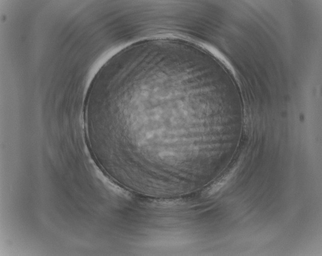 X0000075860951200610061934