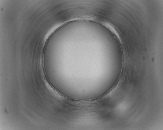 X0000075860952200610061934