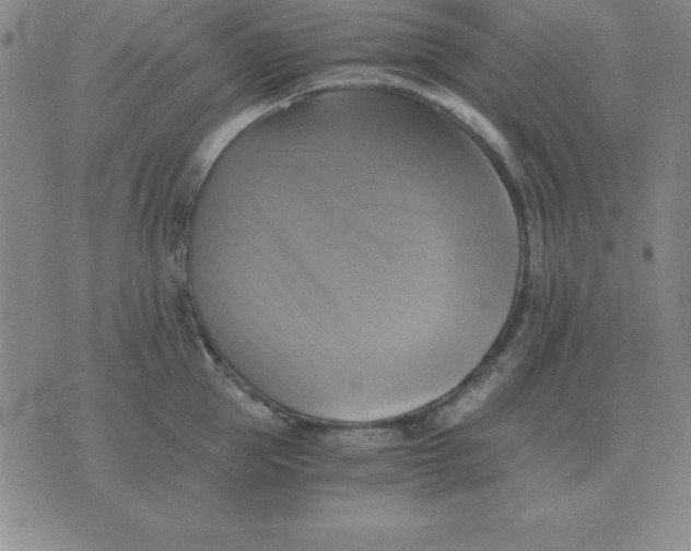 X0000075860953200610061934