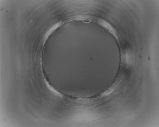 X0000075860954200610061934