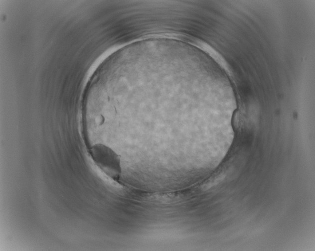 X0000075860955200610061934