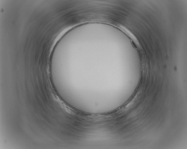 X0000075860956200610061934