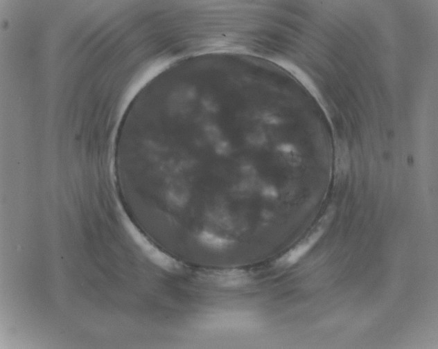 X0000075860957200610061934