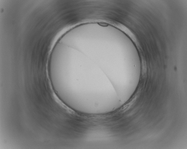 X0000075860958200610061934