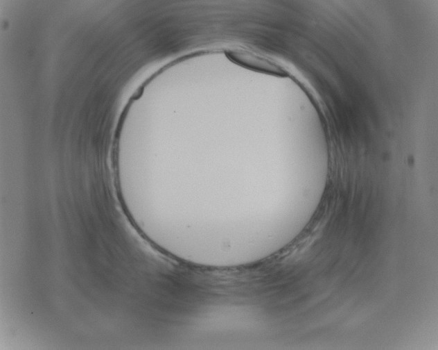 X0000075860959200610061934