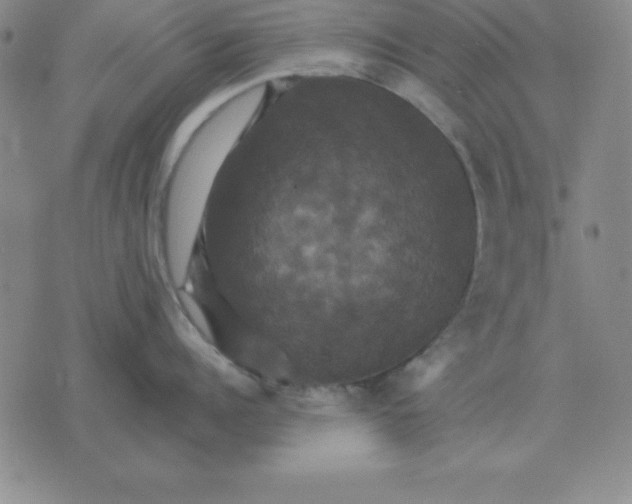 X0000075860960200610061934