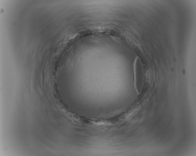 X0000075860961200610061933