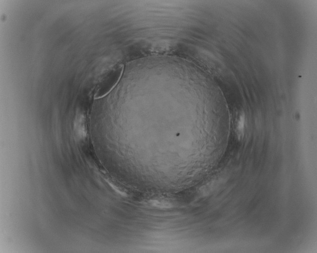 X0000075860962200610061933