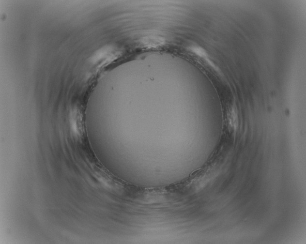 X0000075860964200610061933