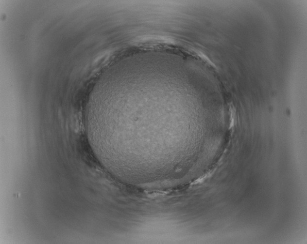 X0000075860965200610061933