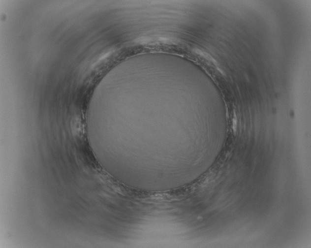 X0000075860966200610061933