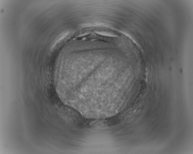 X0000075860967200610061933