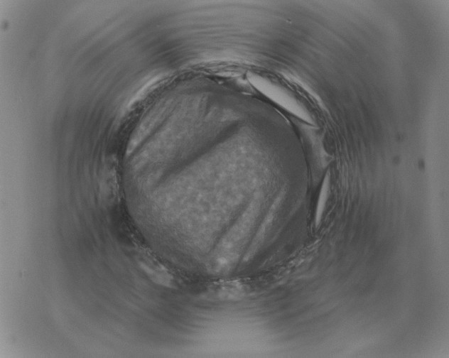 X0000075860968200610061933