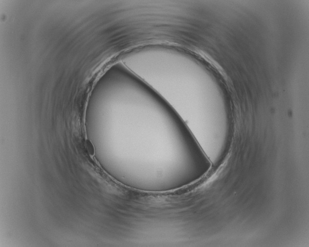 X0000075860969200610061933