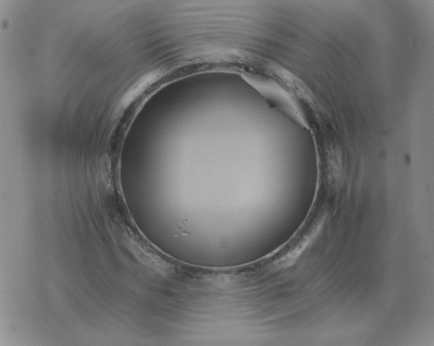 X0000075860970200610061933