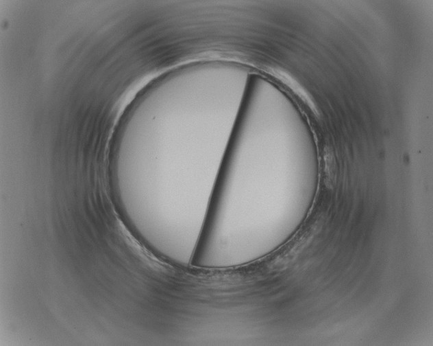 X0000075860972200610061933