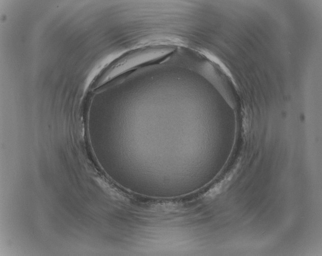 X0000075860973200610061933