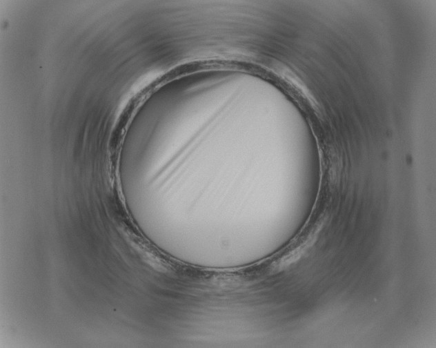 X0000075860974200610061933