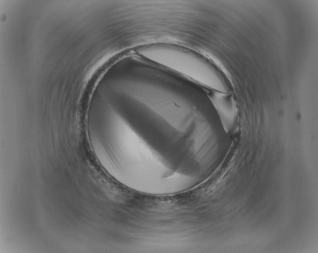 X0000075860975200610061933