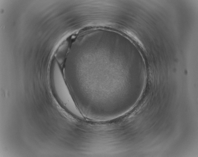 X0000075860976200610061933