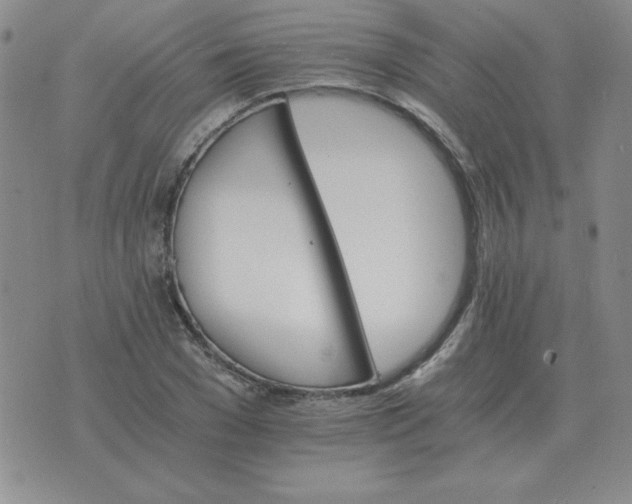 X0000075860977200610061933