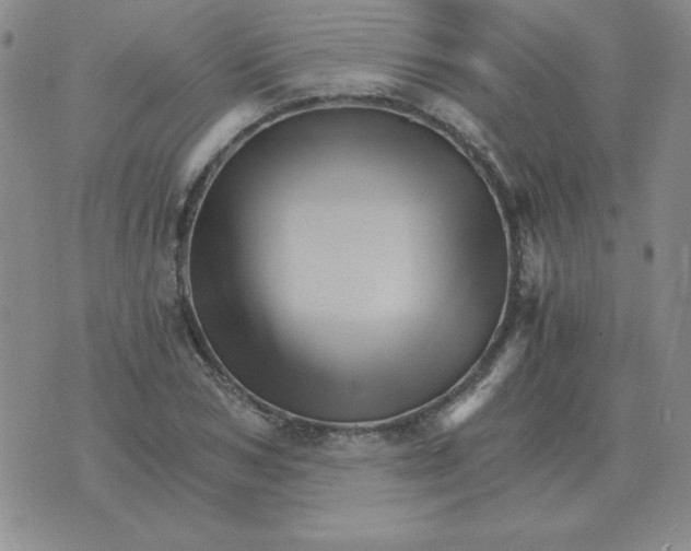 X0000075860978200610061933