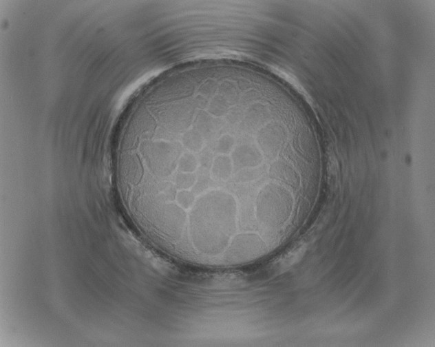 X0000075860979200610061933