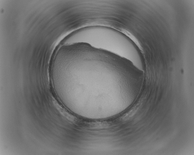 X0000075860980200610061933