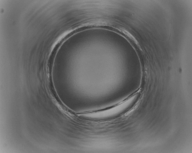 X0000075860981200610061933