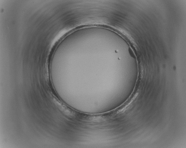 X0000075860982200610061933