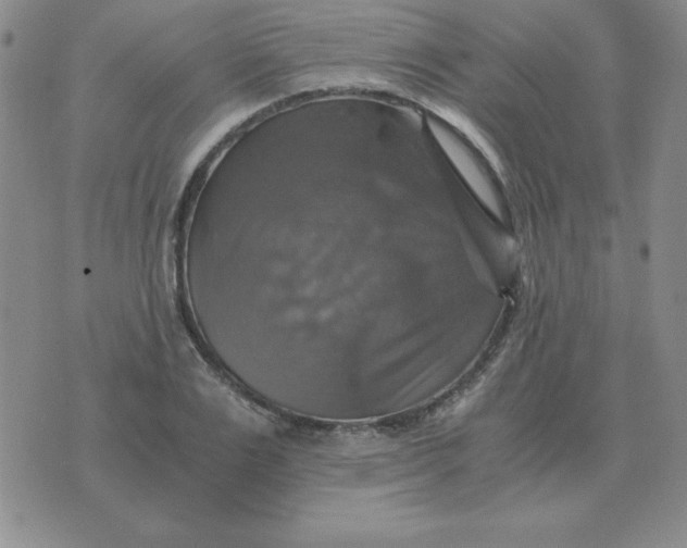 X0000075860983200610061933