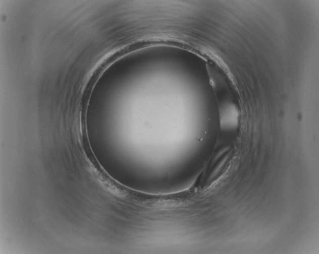 X0000075860984200610061933