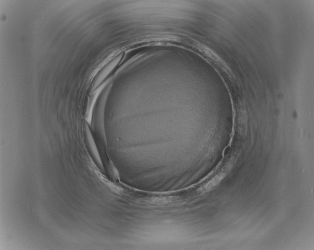 X0000075860985200610061933