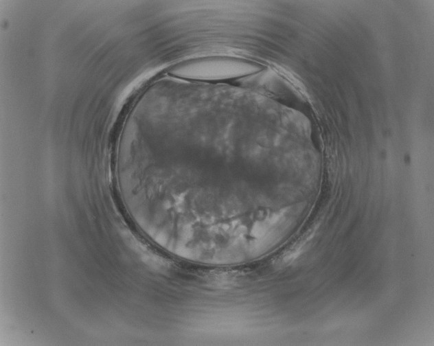 X0000075860987200610061933