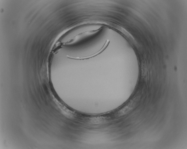 X0000075860988200610061933