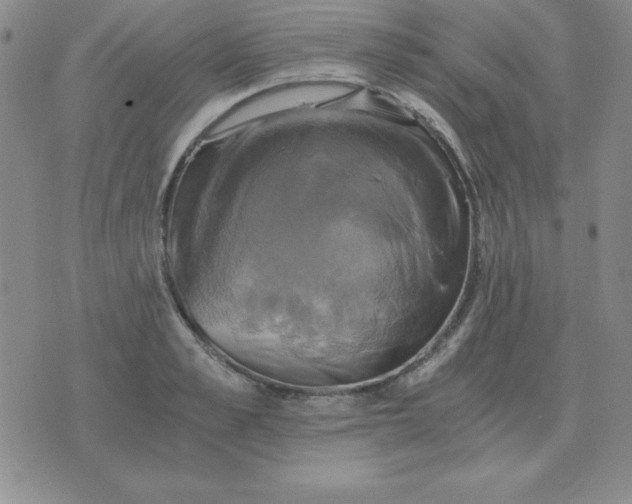 X0000075860989200610061933