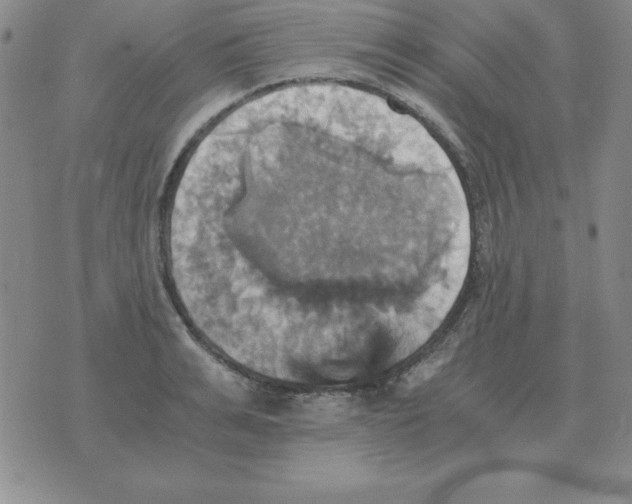 X0000075860991200610061933