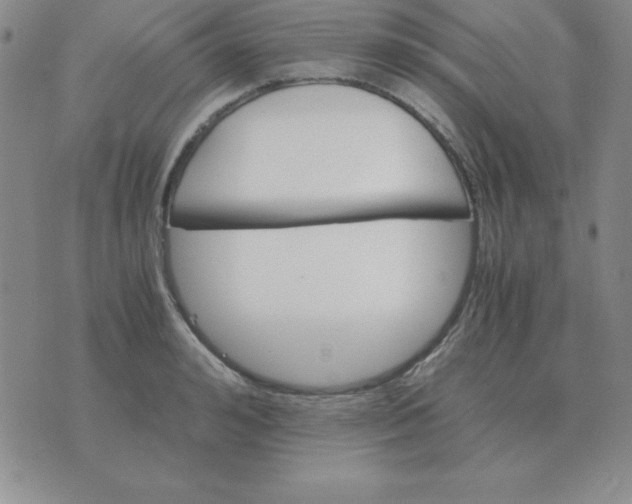 X0000075860992200610061933