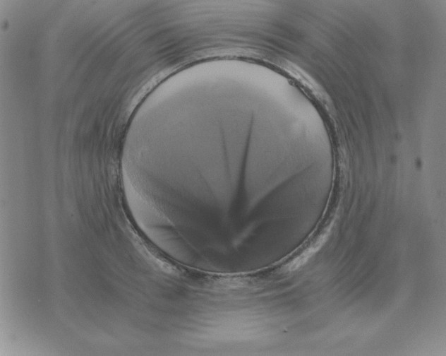 X0000075860993200610061933