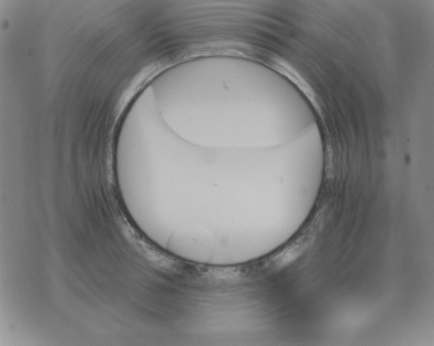 X0000075860994200610061933