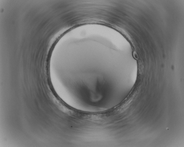 X0000075860995200610061933