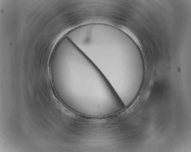 X0000075860996200610061933