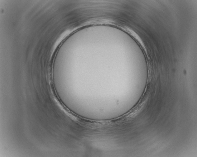 X0000075860997200610061932