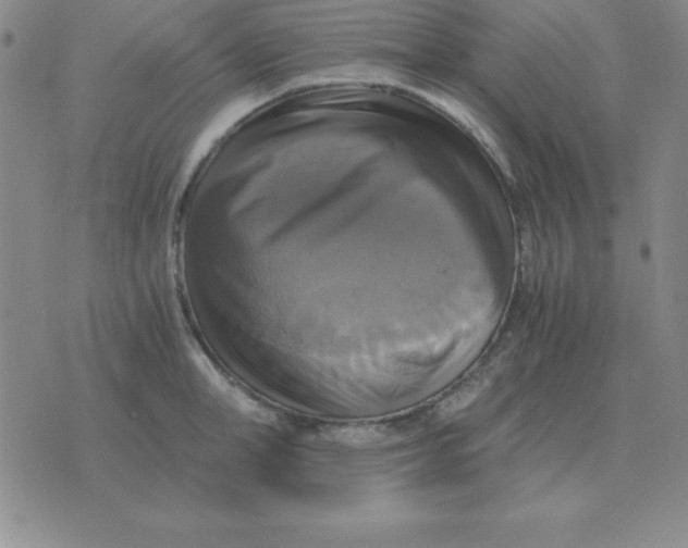 X0000075860998200610061932